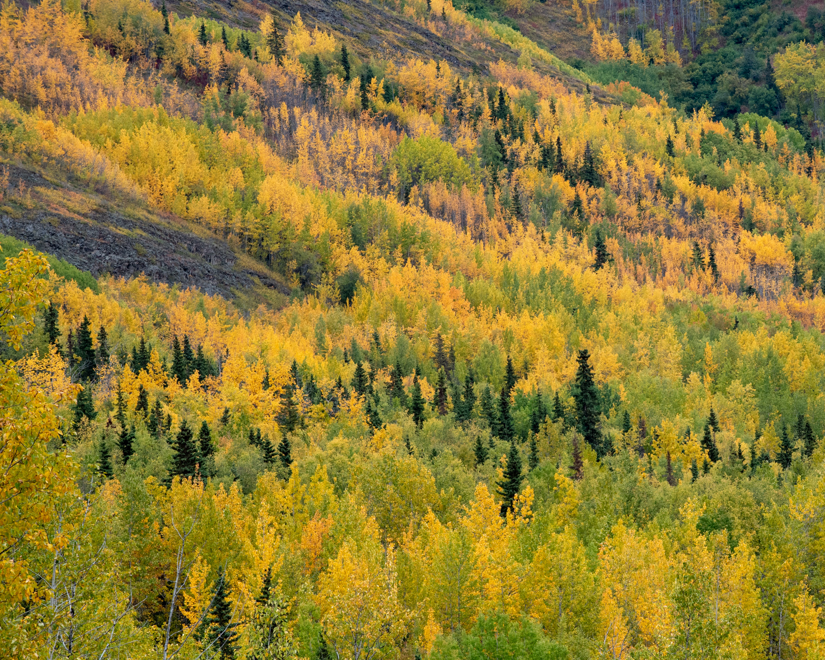 Alaska-14