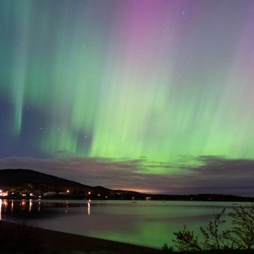 Natural Phenomena