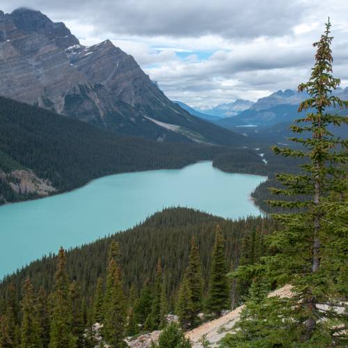 Banff